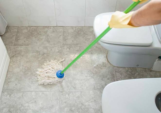Floor Cleaner & Disinfectant