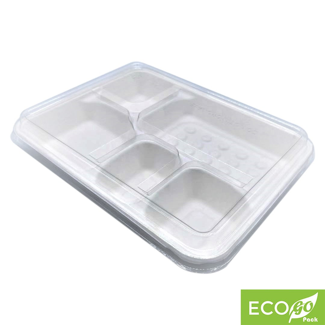 5 Compartment Sugarcane Bento "TRAY" 268x208x28mm