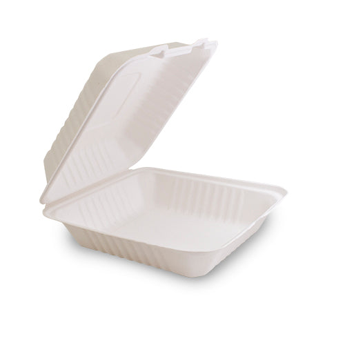 Sugarcane Clam 8x8 Small Dinner Box