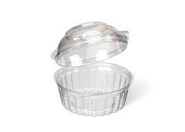 Show Bowl Plastic Containers With Dome Lid Clear 20oz/591ml
